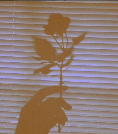 poésie voisinage ombre