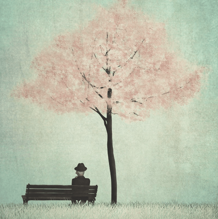 le temps des merises nouvelles